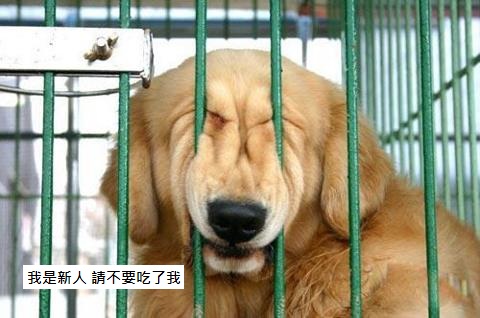 放我出來吧 - 複製.jpg