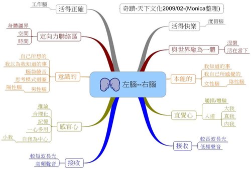 左右腦說明-圖1.jpg