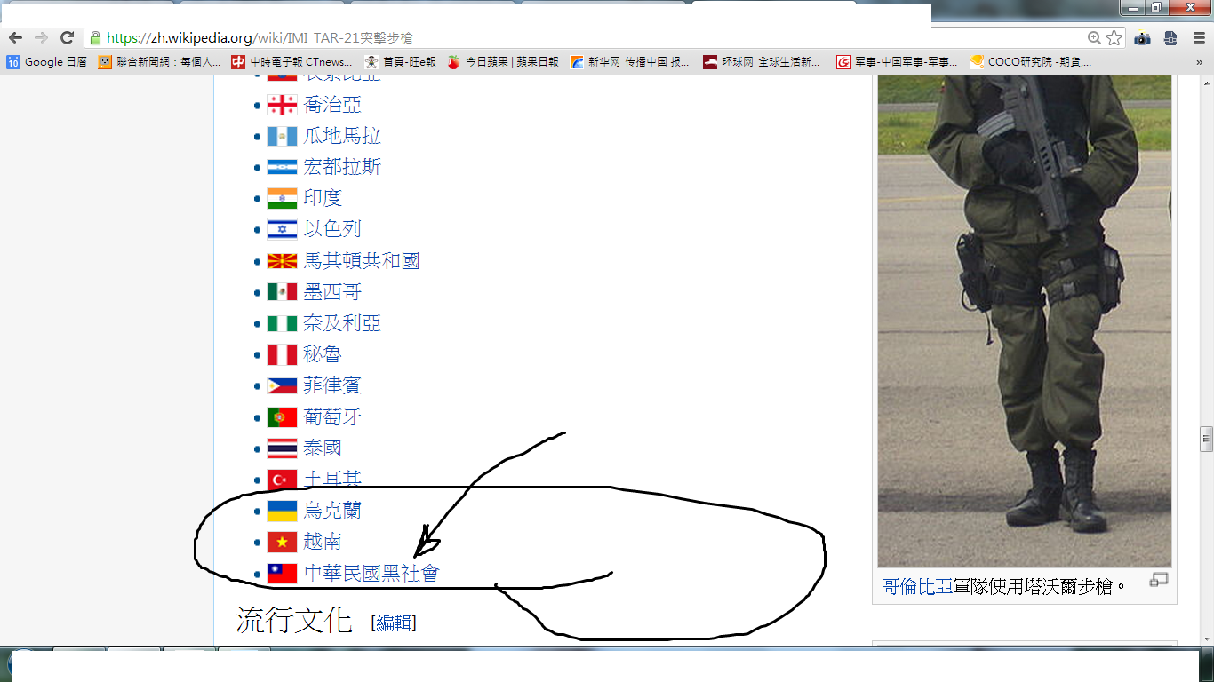 塔沃儿步枪.png