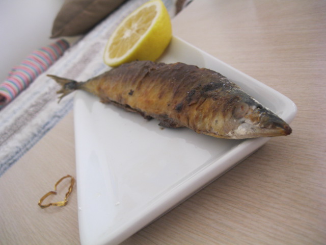 照片 033.jpg