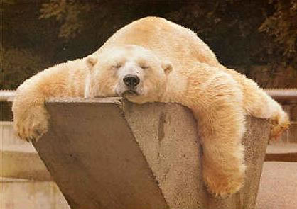 zzzzzzzzzzzzzzzzzzzzzzzz.jpg