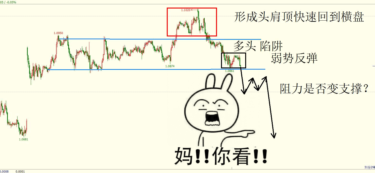 11.gif