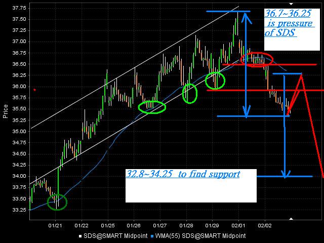 SDS-short-sp500-etf-20100203-30min.JPG