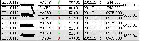 20110113-2.JPG