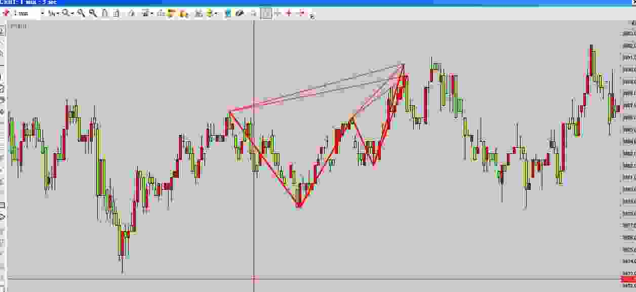 cac40 butterfly_pic.jpg